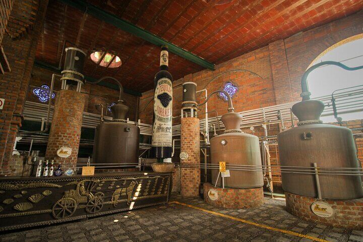 Private Tour to Tequilera Corralejo and Piramides Zone