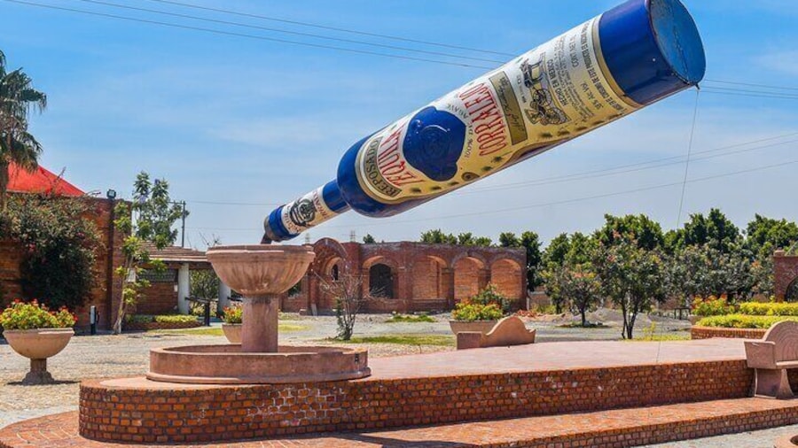 Private Tour to Hacienda Tequilera Corralejo and Archeologic Zone