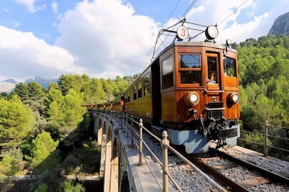 Scenic tour by Train, Tram and Boat through the lakes