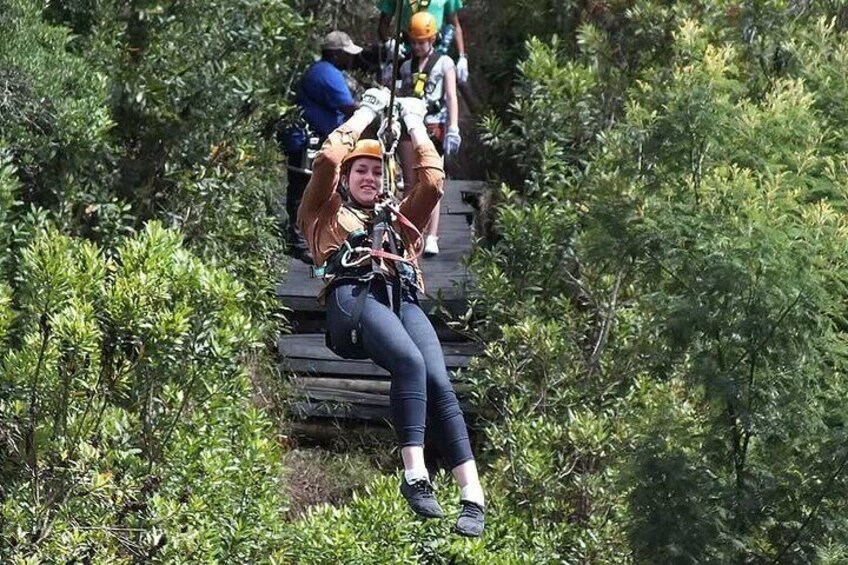 Tsitsikamma: Bungee Jump with Zipline and Sky Walk