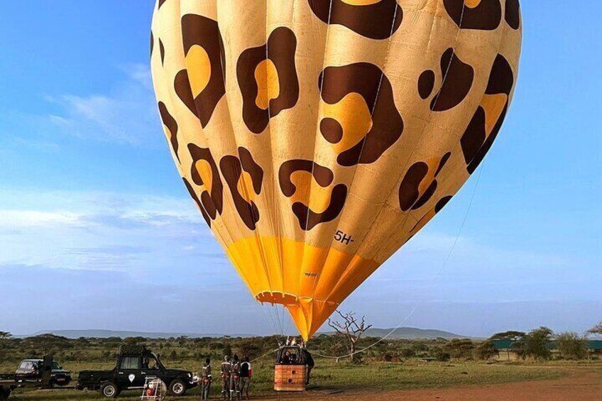 5 Hours Serengeti and Tarangire Exclusive Balloon Safari