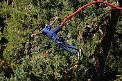 Tour di 2 giorni con bungee jumping, zipline e gabbia degli squali sulla Ga...