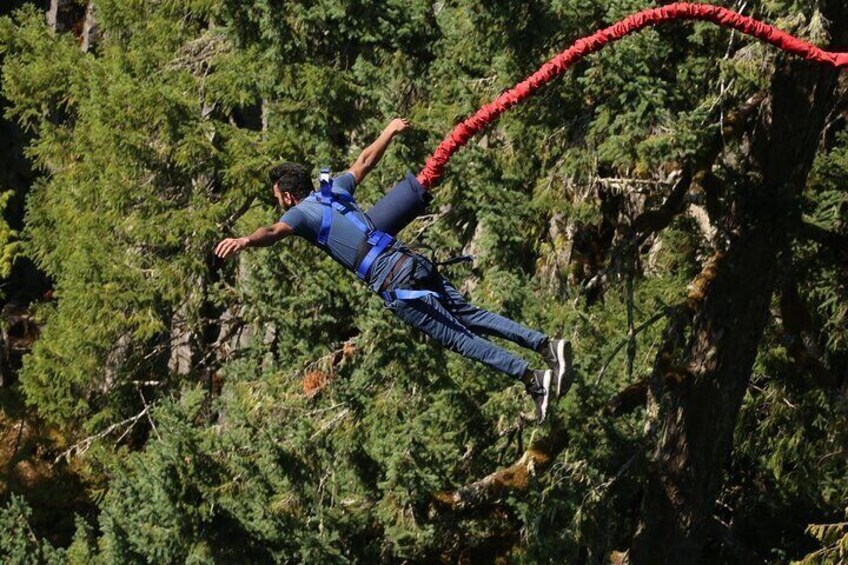 Garden Route Bungee Jumping