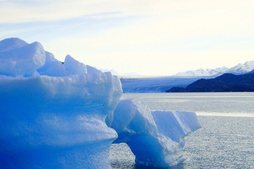 Full Day Tour Navigating through the Glaciers of the National Park