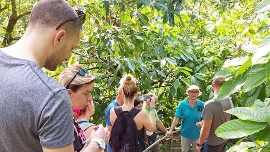2 Hours Chocolate and Coffee Tour Farm Don Jorge
