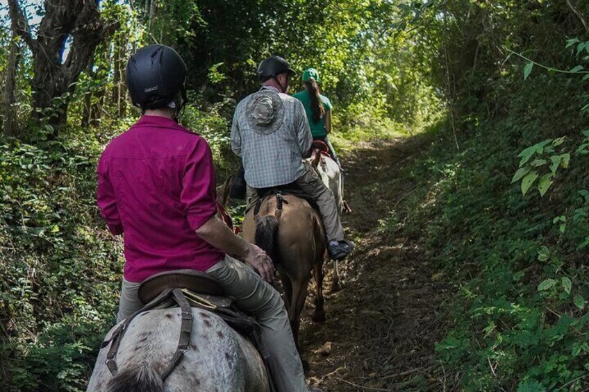 Horseback Riding & UTV Tour in Private Parrot Reserve