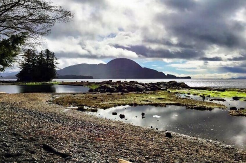 Private Ketchikan City Totems & Wildlife Van Tour