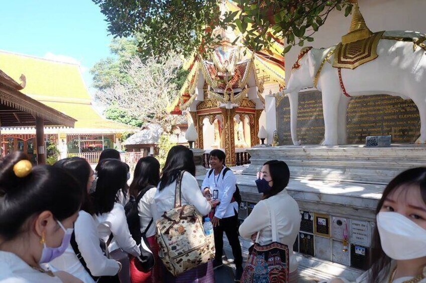 Chiang Mai Private City Tour Handicraft Village Sticky Waterfall