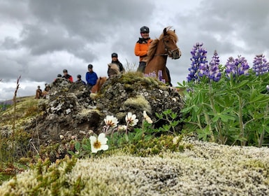 Reikiavik: tour a caballo en grupo pequeño con camioneta