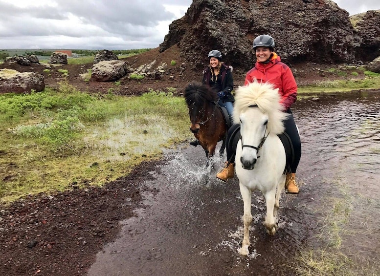 Picture 6 for Activity Reykjavik: Small-Group Horse Riding Tour with Pickup