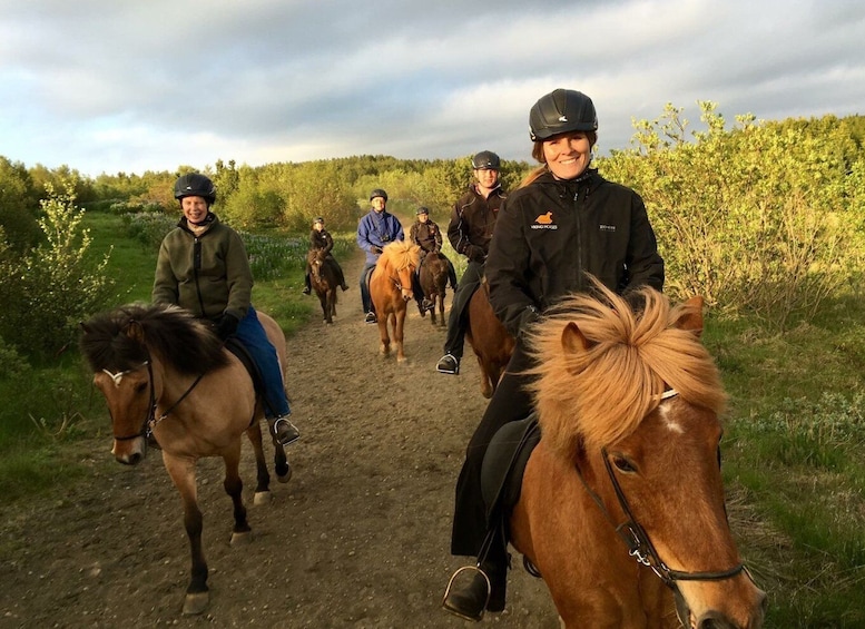 Picture 4 for Activity Small-Group Horse Riding Tour from Reykjavik