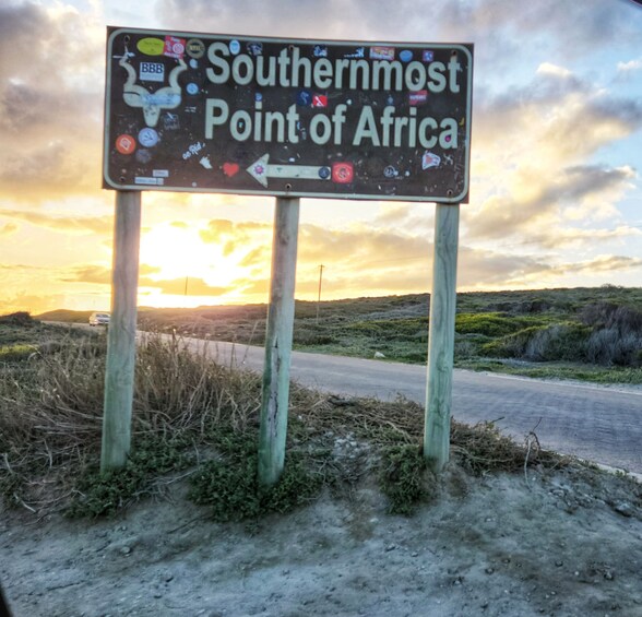 Picture 2 for Activity From Port Elizabeth: 5-Day Garden Route Tour to Cape Town