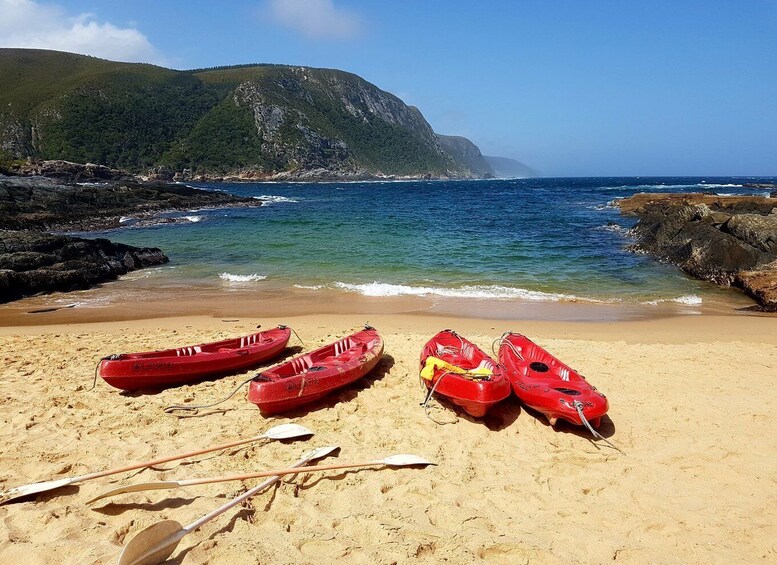 From Port Elizabeth: 5-Day Garden Route Tour to Cape Town