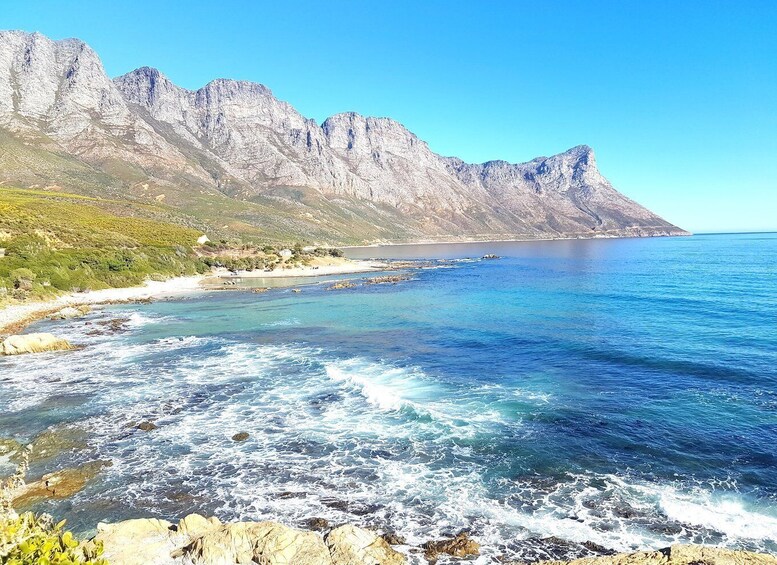 Picture 1 for Activity From Port Elizabeth: 5-Day Garden Route Tour to Cape Town