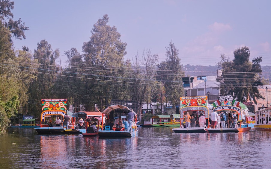Turicard: Mexico City Pass - Enjoy between 40+ attracctions