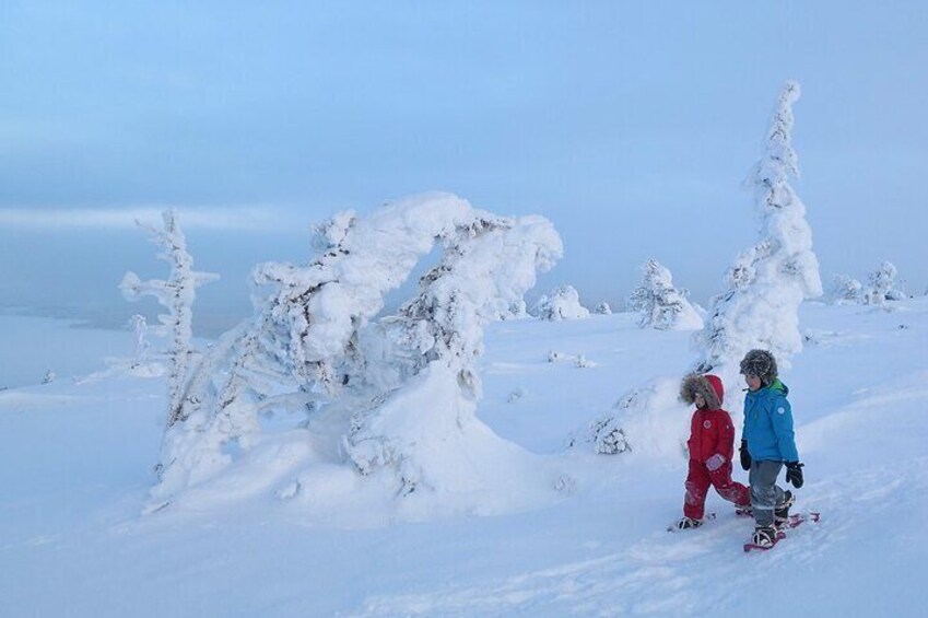 Scenic Snowshoeing on the Top of Pyhä Fell