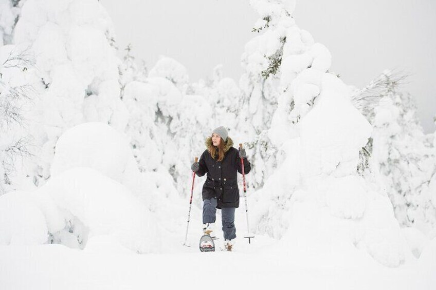 Scenic Snowshoeing on the Top of Pyhä Fell