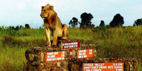 Nairobi National Park Halbtägige geführte Pirschfahrt