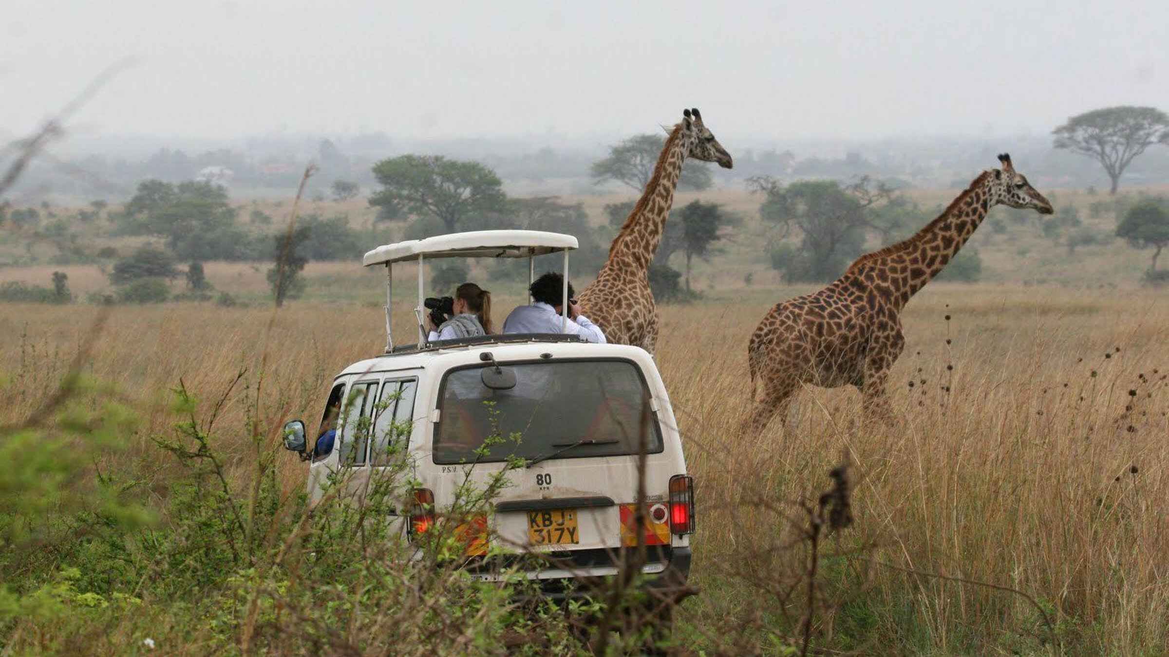 Nairobi Park Game Drive with Elephant & Giraffe Tour Options