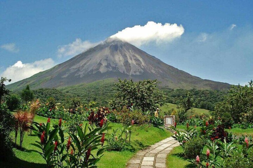 Full Day Private Tour to the Arenal Volcano from Guanacaste.