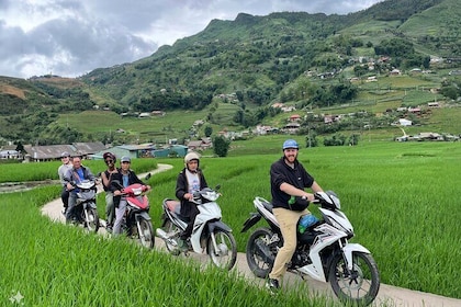 Sapa Motorbike Tour With Local Guide 1 Day