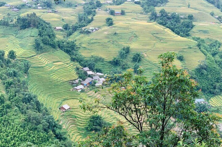 Sapa Motorbike Tour With Local Guide 1 Day