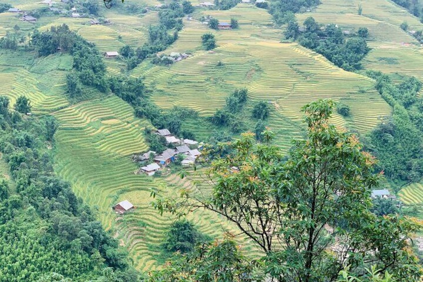 Sapa Motorbike Tour With Local Guide 1 Day