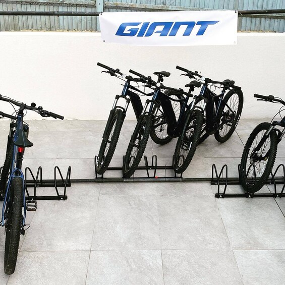 Picture 10 for Activity Sussex: City Highlights e-Bike hire