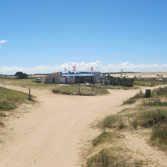 Picture 12 for Activity From Montevideo: Cabo Polonio - Full Day Private Tour