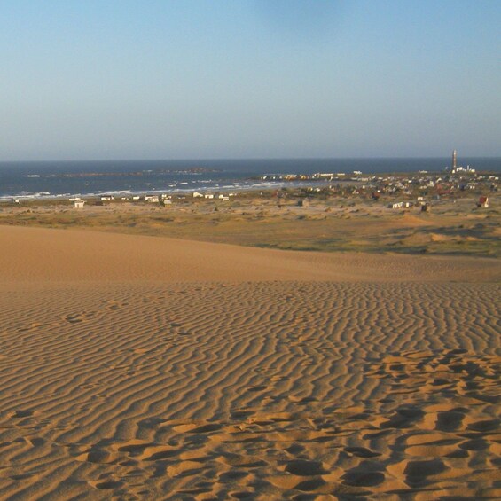 Picture 14 for Activity From Montevideo: Cabo Polonio - Full Day Private Tour