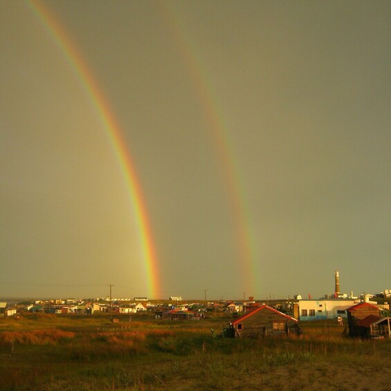 Picture 13 for Activity From Montevideo: Cabo Polonio - Full Day Private Tour