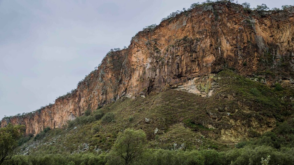 Picture 22 for Activity Tour to Hells Gate National Park and Lake Naivasha Boat Ride