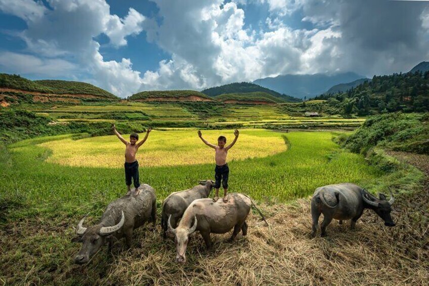 Ninh Binh Full Day Experience: Hiking, Boating, and Cycling