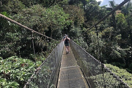 2-Hour Private Místico Hanging Bridges Naturalist Walk