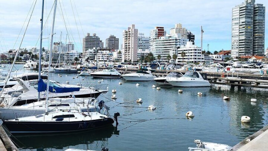 Full Day Private Tour to Punta del Este