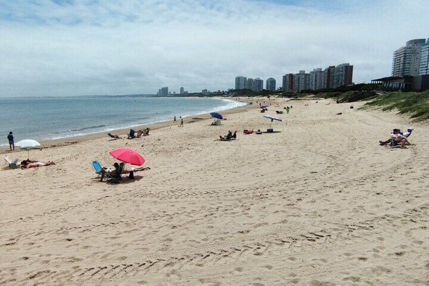 Full Day Private Tour to Punta del Este