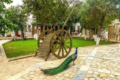 Jewels of Bukhara: Countryside Tour with Transport and Lunch