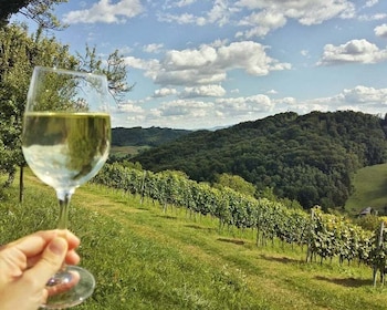 From Zagreb: Plesivica Hills & Samobor Tour & Wine Tasting