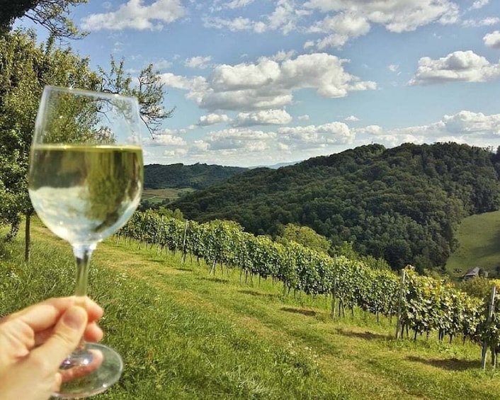 Zagreb: Plesivica Hills and Samobor Tour with Wine Tasting