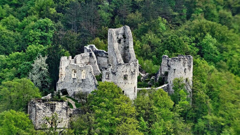 Picture 2 for Activity Zagreb: Plesivica Hills and Samobor Tour with Wine Tasting