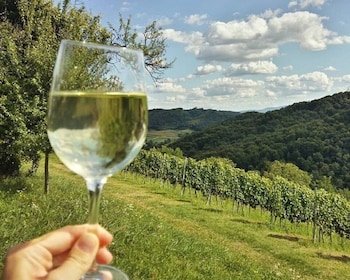 Zagreb: Plesivica Hills and Samobor Tour with Wine Tasting