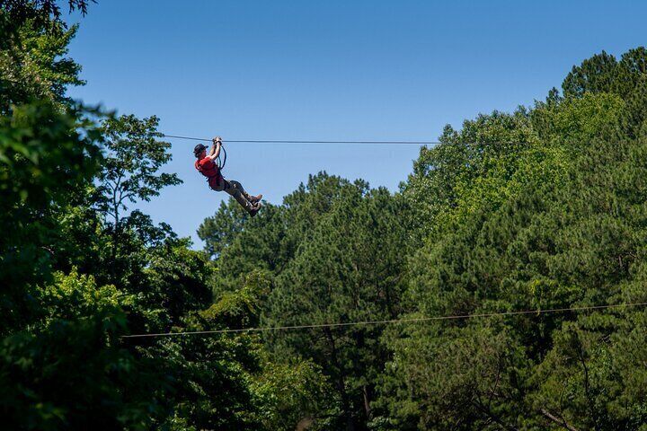 Ziplining and Climbing at The Adventure Park at Virginia Aquarium