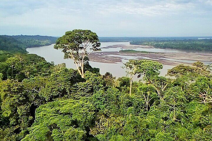 Yasuní and Limoncocha 4-Day Wildlife Adventure