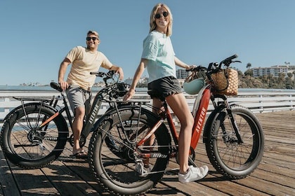 Electric Bike Rentals in Greater Fort Lauderdale min 2hours