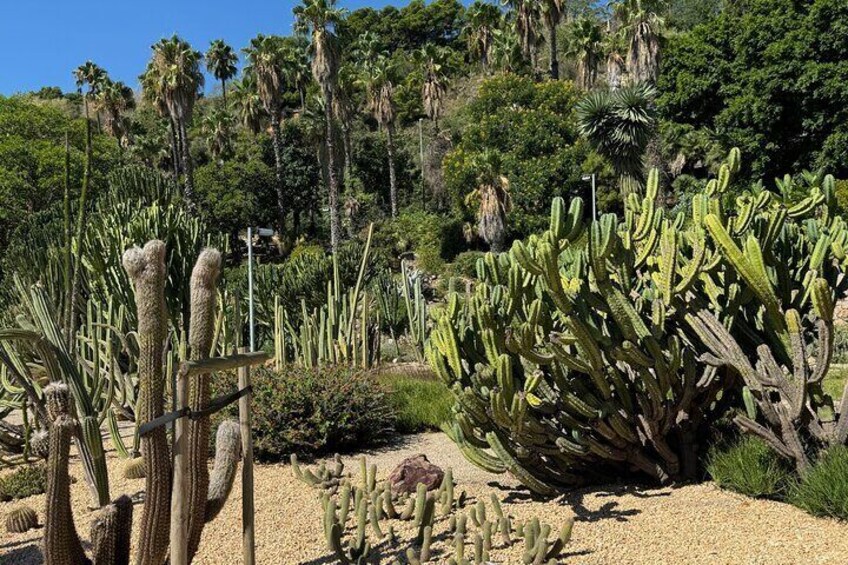 Mossèn Costa i Llobera Gardens