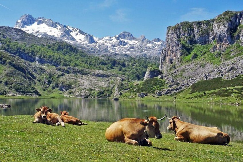 Ercina Lake and Picos de Europa