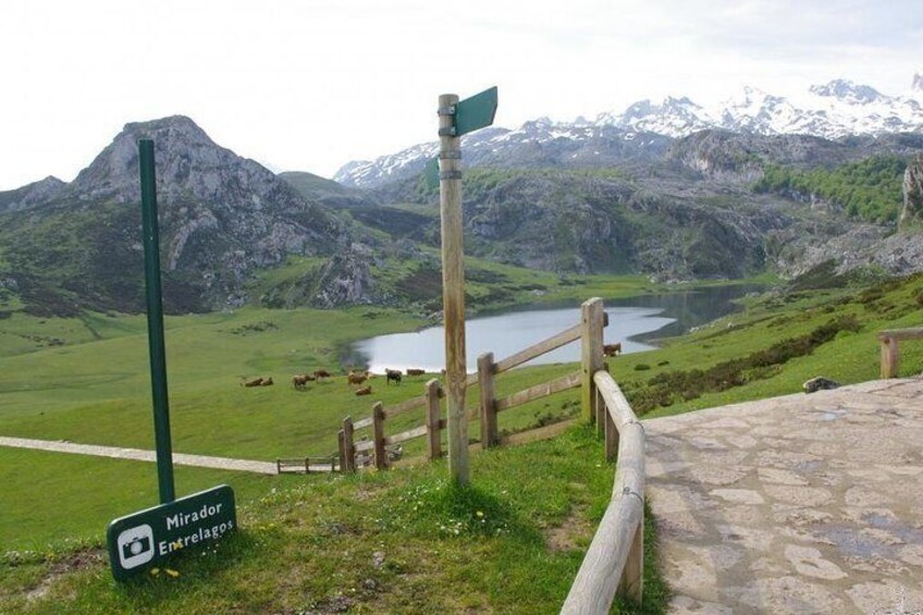 Ercina lake from interlaced viewpoint