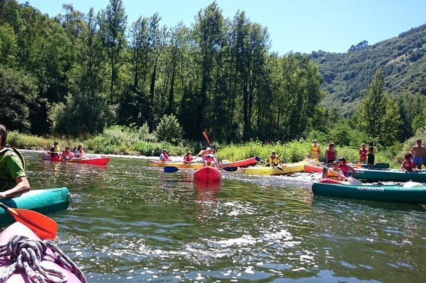 Guided kayaking on the Nalón river Oviedo