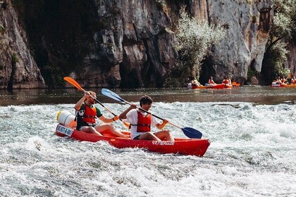 Guided kayaking on the Nalón river Oviedo