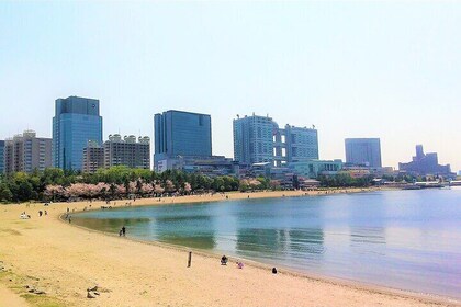 Cycling Along the Scenic Coast of Odaiba